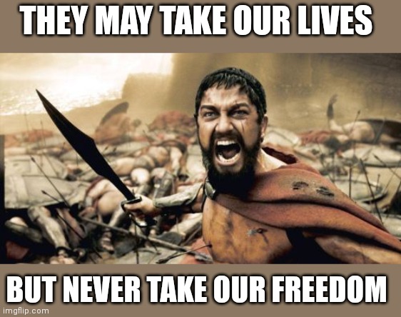 Never take our freedom | THEY MAY TAKE OUR LIVES; BUT NEVER TAKE OUR FREEDOM | image tagged in memes,sparta leonidas,funny memes | made w/ Imgflip meme maker