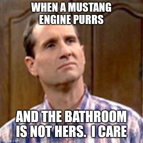 I care | WHEN A MUSTANG ENGINE PURRS; AND THE BATHROOM IS NOT HERS.  I CARE | image tagged in al bundy,funny memes | made w/ Imgflip meme maker