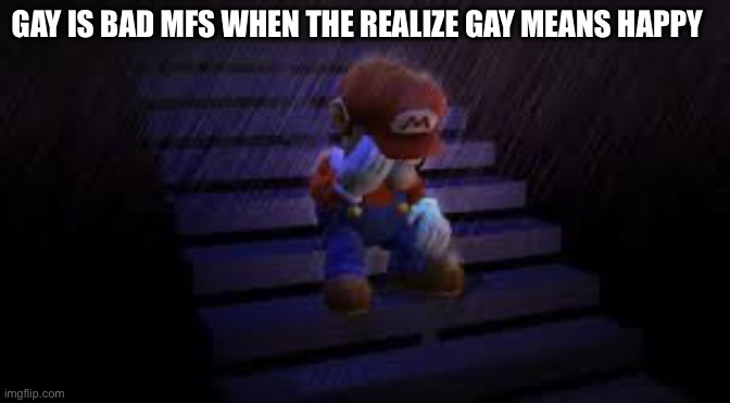 Sad mario | GAY IS BAD MFS WHEN THE REALIZE GAY MEANS HAPPY | image tagged in sad mario | made w/ Imgflip meme maker
