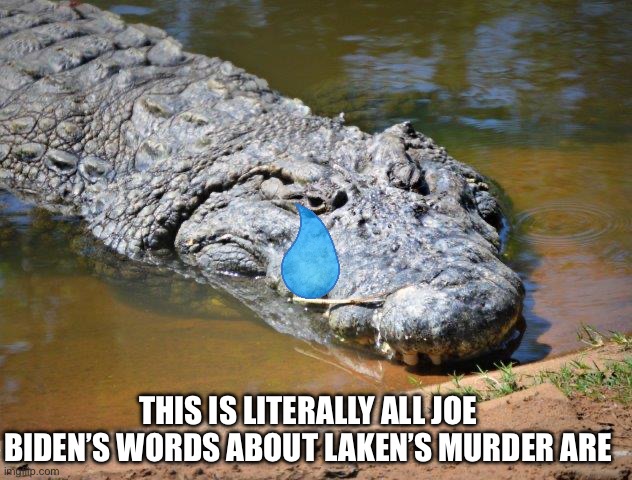 He made the mess, now he claims republicans won’t fix it. | THIS IS LITERALLY ALL JOE BIDEN’S WORDS ABOUT LAKEN’S MURDER ARE | image tagged in crocodile | made w/ Imgflip meme maker