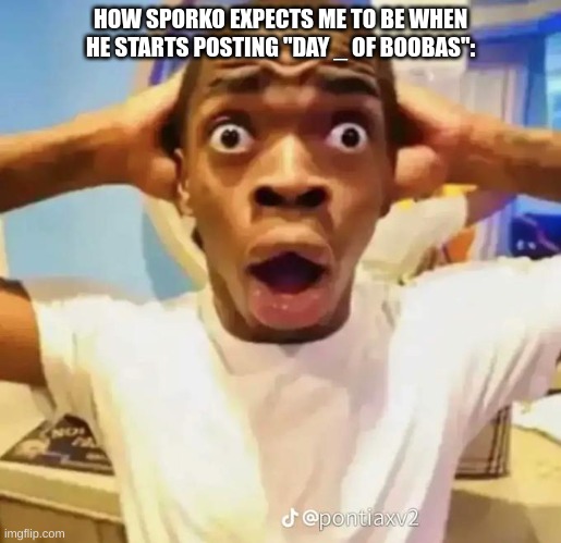 I could not care any less | HOW SPORKO EXPECTS ME TO BE WHEN HE STARTS POSTING "DAY _ OF BOOBAS": | image tagged in shocked black guy | made w/ Imgflip meme maker