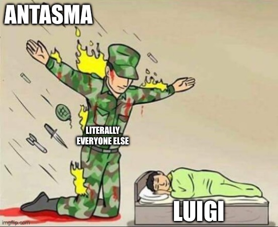 Mario and Luigi Dream Team be like: | ANTASMA; LITERALLY EVERYONE ELSE; LUIGI | image tagged in soldier protecting sleeping child | made w/ Imgflip meme maker