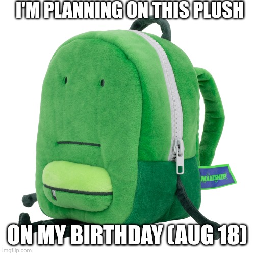 One of my wishes announced (for myself). | I'M PLANNING ON THIS PLUSH; ON MY BIRTHDAY (AUG 18) | image tagged in liam,birthday | made w/ Imgflip meme maker