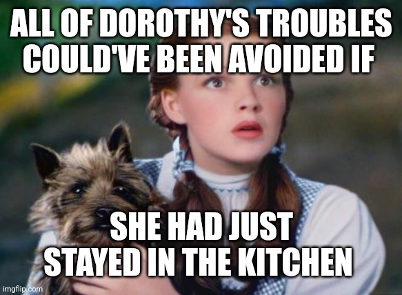 Stayed in the kitchen | ALL OF DOROTHY'S TROUBLES COULD'VE BEEN AVOIDED IF; SHE HAD JUST STAYED IN THE KITCHEN | image tagged in toto wizard of oz | made w/ Imgflip meme maker