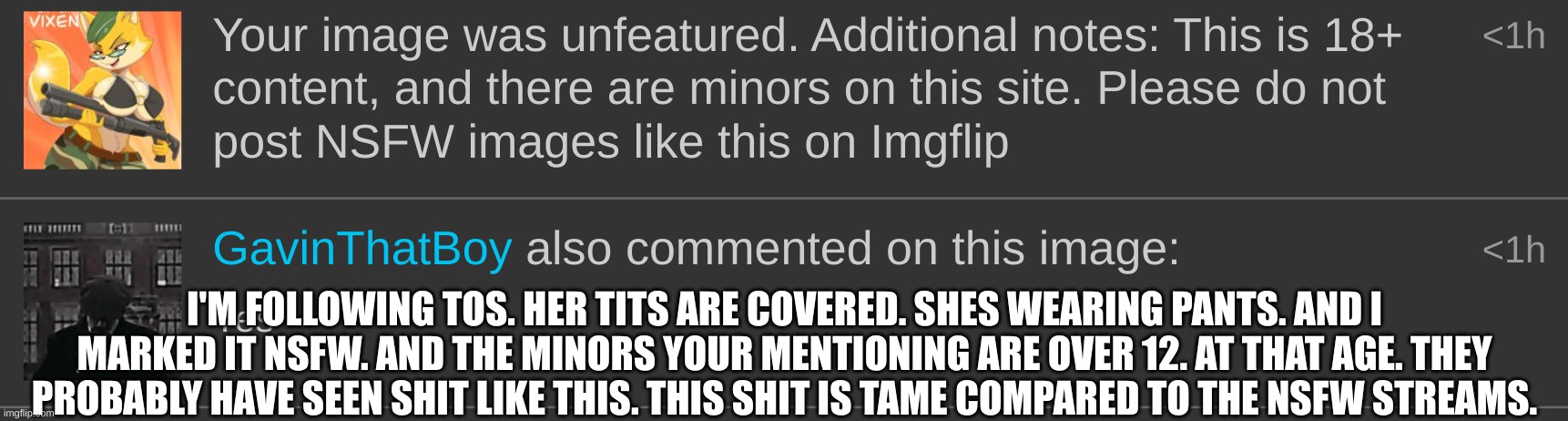 I'm following the Imgflip rules and one of our guys unfeatured it. | I'M FOLLOWING TOS. HER TITS ARE COVERED. SHES WEARING PANTS. AND I MARKED IT NSFW. AND THE MINORS YOUR MENTIONING ARE OVER 12. AT THAT AGE. THEY PROBABLY HAVE SEEN SHIT LIKE THIS. THIS SHIT IS TAME COMPARED TO THE NSFW STREAMS. | image tagged in i'm following the rules | made w/ Imgflip meme maker