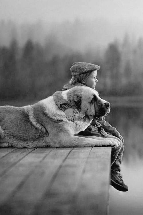 Danielle Gomes Blank Meme Template