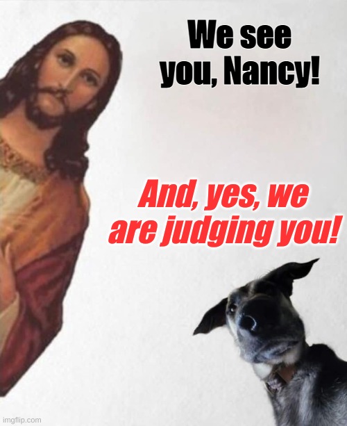 JESUS AND A DOG SEE YOU | We see you, Nancy! And, yes, we are judging you! | image tagged in jesus and a dog see you | made w/ Imgflip meme maker