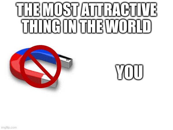 THE MOST ATTRACTIVE THING IN THE WORLD; YOU | image tagged in i breathe air for you | made w/ Imgflip meme maker