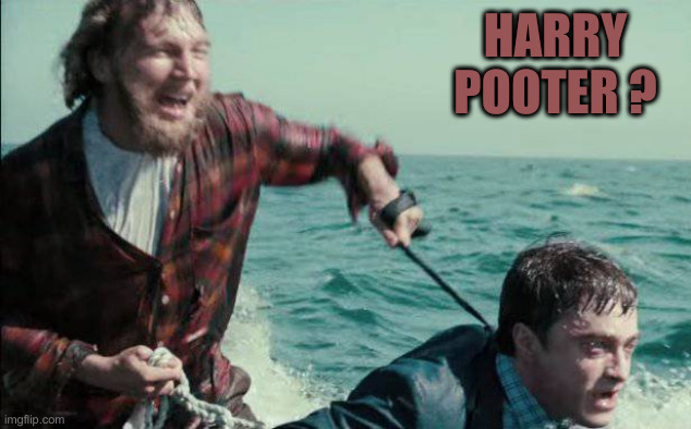 Swiss Army Man | HARRY POOTER ? | image tagged in swiss army man,funny memes,memes | made w/ Imgflip meme maker