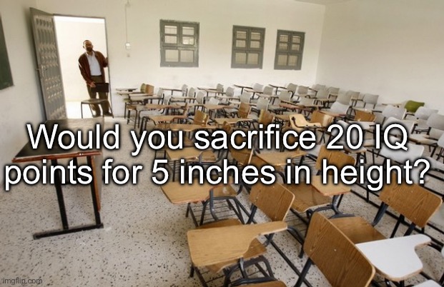 Hight sacrifice | Would you sacrifice 20 IQ points for 5 inches in height? | image tagged in empty classroom,height,iq | made w/ Imgflip meme maker