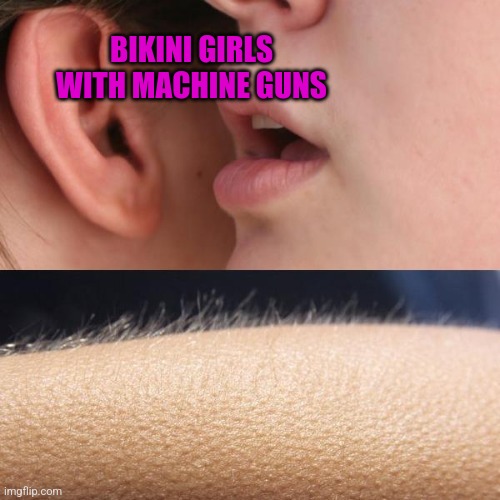 Bikini Girls With Machine Guns | BIKINI GIRLS WITH MACHINE GUNS | image tagged in whisper and goosebumps | made w/ Imgflip meme maker