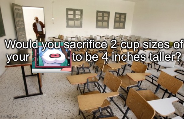 Sacrifice | Would you sacrifice 2 cup sizes of your             to be 4 inches taller? | image tagged in empty classroom,tall,height,boobs | made w/ Imgflip meme maker