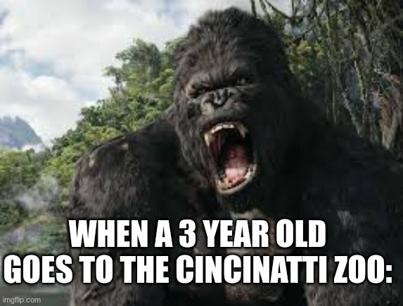 Harambe did nothing wrong! RIP | WHEN A 3 YEAR OLD GOES TO THE CINCINATTI ZOO: | image tagged in king kong,harambe | made w/ Imgflip meme maker