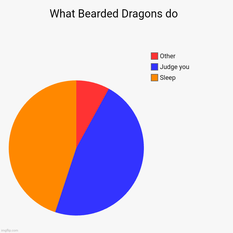 Bearded Dragons really do be like this | What Bearded Dragons do  | Sleep, Judge you, Other | image tagged in charts,pie charts | made w/ Imgflip chart maker