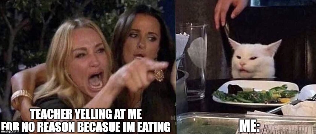 woman yelling at cat | TEACHER YELLING AT ME FOR NO REASON BECASUE IM EATING; ME: | image tagged in woman yelling at cat | made w/ Imgflip meme maker