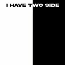 I have 2 sides Blank Meme Template