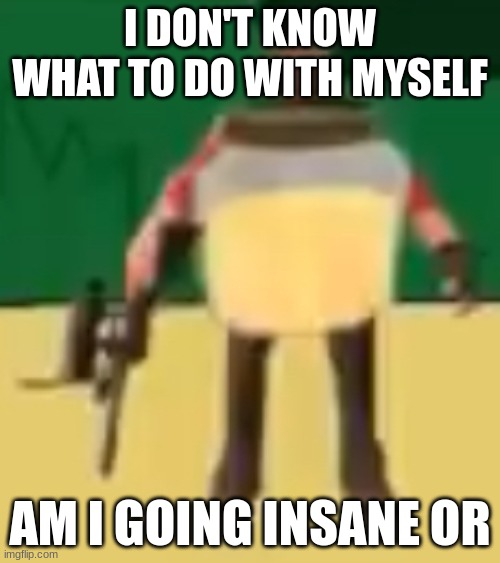 Jarate 64 | I DON'T KNOW WHAT TO DO WITH MYSELF; AM I GOING INSANE OR | image tagged in jarate 64 | made w/ Imgflip meme maker