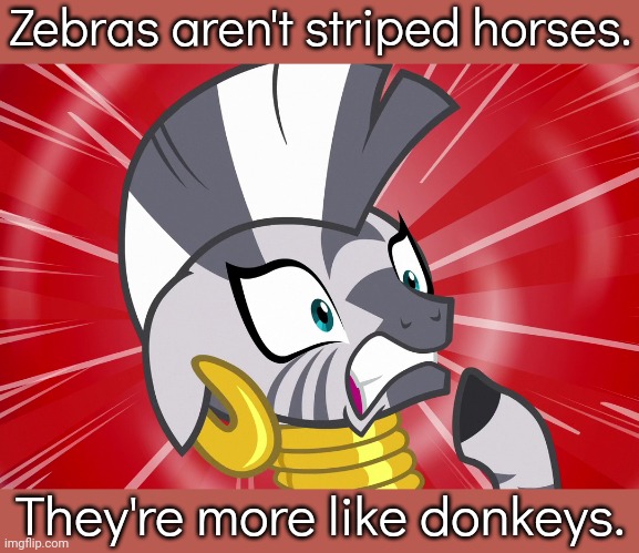 Sorry Zecora. | Zebras aren't striped horses. They're more like donkeys. | image tagged in shocked zecora mlp,funny animals,my little pony friendship is magic,and thats a fact | made w/ Imgflip meme maker