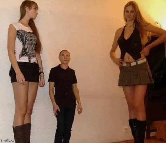 tall girls short guy | image tagged in tall girls short guy | made w/ Imgflip meme maker