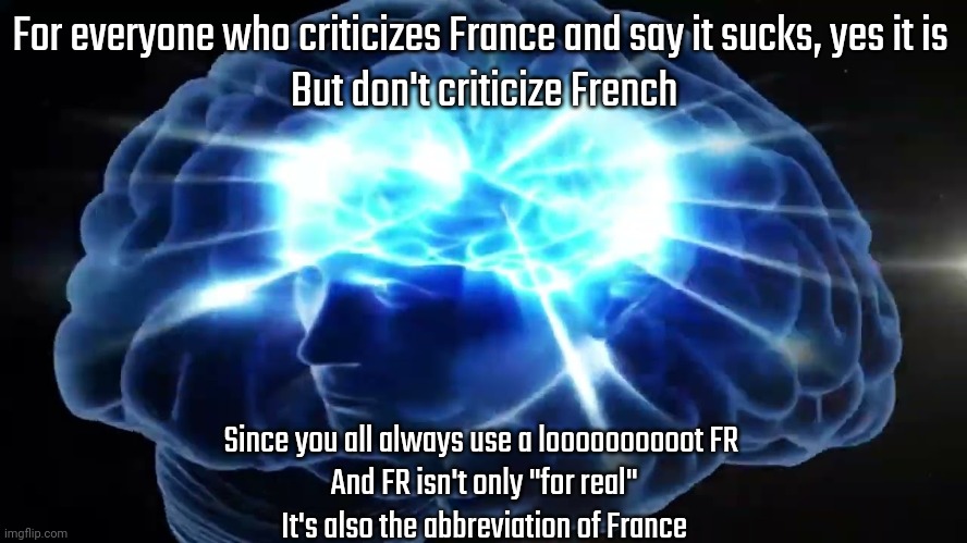 But you didn't have to cut me off | For everyone who criticizes France and say it sucks, yes it is 
But don't criticize French; Since you all always use a loooooooooot FR 
And FR isn't only "for real"
It's also the abbreviation of France | image tagged in but you didn't have to cut me off | made w/ Imgflip meme maker