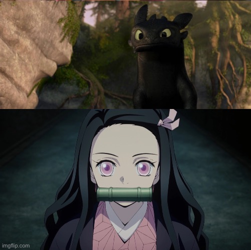 Nezuko meets Toothless | image tagged in meme | made w/ Imgflip meme maker