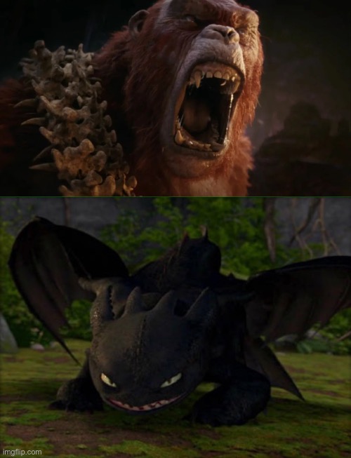 Toothless vs Skar King | image tagged in meme | made w/ Imgflip meme maker