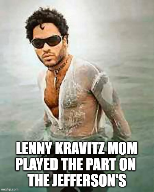 lenny kravitz | LENNY KRAVITZ MOM
PLAYED THE PART ON 
THE JEFFERSON'S | image tagged in lenny kravitz | made w/ Imgflip meme maker