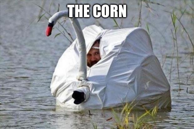 Goose disguise | THE CORN | image tagged in goose disguise | made w/ Imgflip meme maker