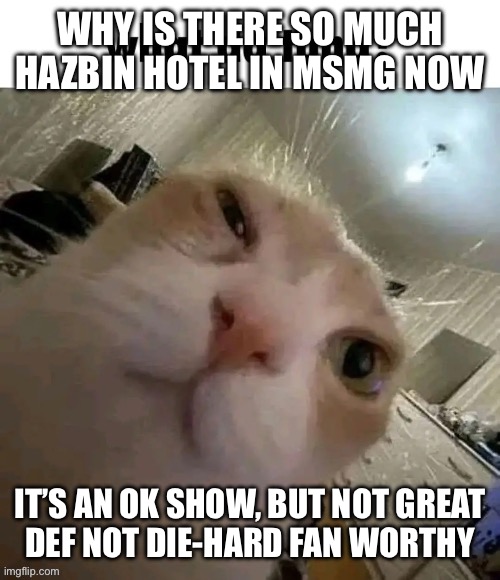 What da tuna? | WHY IS THERE SO MUCH HAZBIN HOTEL IN MSMG NOW; IT’S AN OK SHOW, BUT NOT GREAT
DEF NOT DIE-HARD FAN WORTHY | image tagged in what da tuna | made w/ Imgflip meme maker