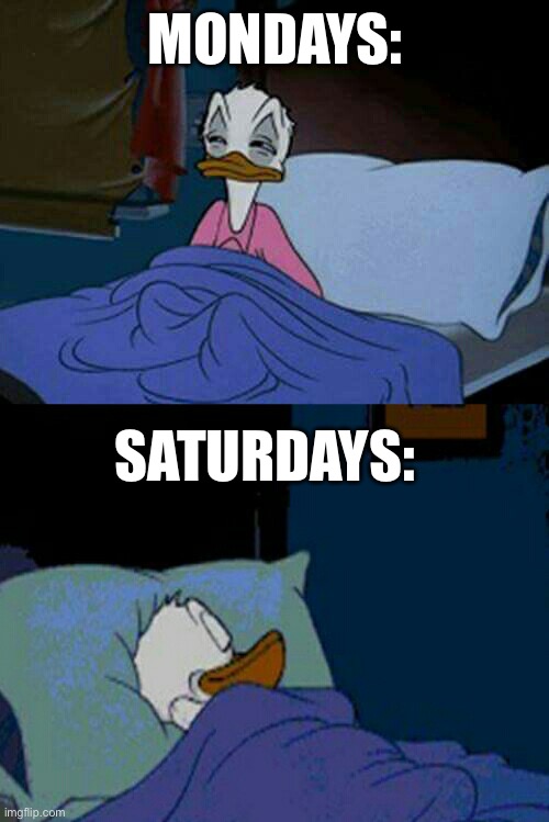 I hate Mondays… sometimes… | MONDAYS:; SATURDAYS: | image tagged in sleepy donald duck in bed | made w/ Imgflip meme maker