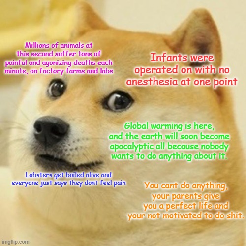 Doge Meme | Millions of animals at this second suffer tons of painful and agonizing deaths each minute, on factory farms and labs Infants were operated  | image tagged in memes,doge | made w/ Imgflip meme maker
