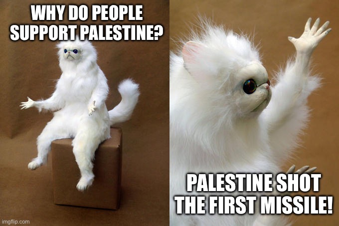 Persian Cat Room Guardian | WHY DO PEOPLE SUPPORT PALESTINE? PALESTINE SHOT THE FIRST MISSILE! | image tagged in memes,persian cat room guardian | made w/ Imgflip meme maker