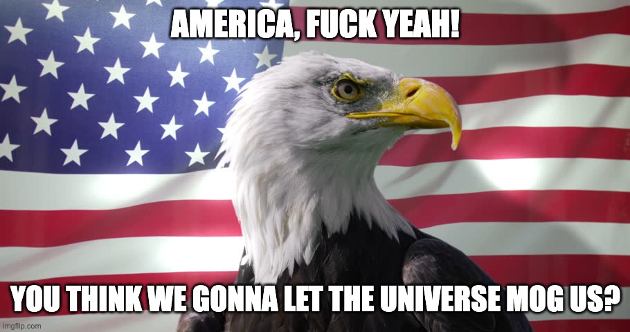Bald Eagle with American Flag | AMERICA, FUCK YEAH! YOU THINK WE GONNA LET THE UNIVERSE MOG US? | image tagged in bald eagle with american flag | made w/ Imgflip meme maker