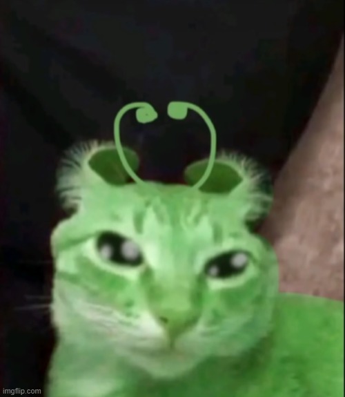 "yeayae yagya yae yagya yae" -funny alien cat | made w/ Imgflip meme maker