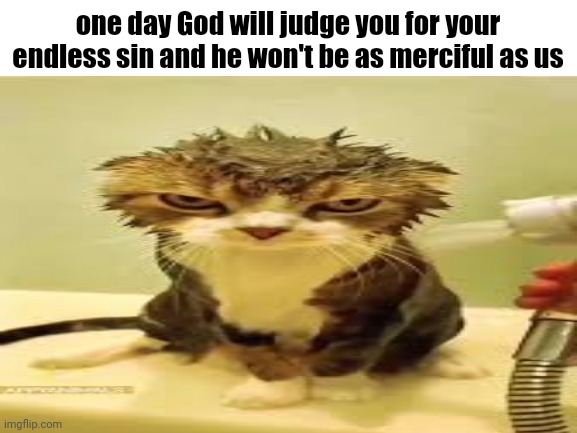 angry cat | one day God will judge you for your endless sin and he won't be as merciful as us | image tagged in blank white template | made w/ Imgflip meme maker