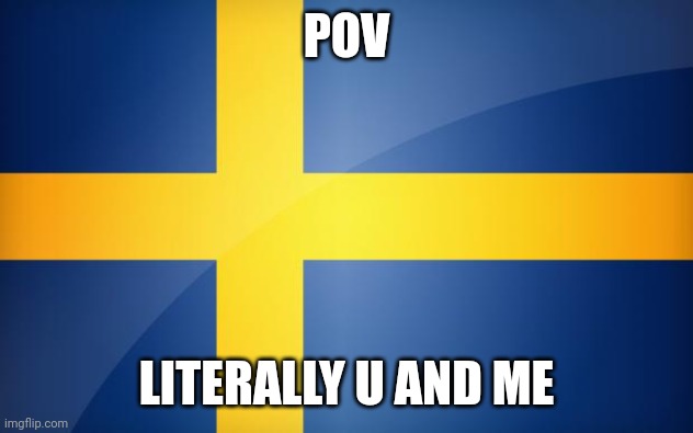Sweden Flag | POV LITERALLY U AND ME | image tagged in sweden flag | made w/ Imgflip meme maker