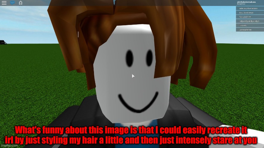 Roblox bacon hair | What's funny about this image is that I could easily recreate it irl by just styling my hair a little and then just intensely stare at you | image tagged in roblox bacon hair | made w/ Imgflip meme maker