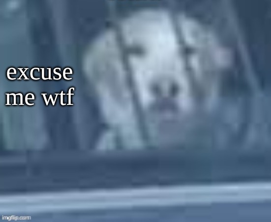 excuse me wtf | made w/ Imgflip meme maker