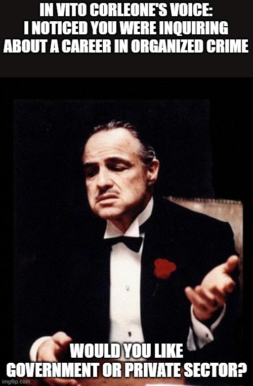 I'm applying Now!! LOL | IN VITO CORLEONE'S VOICE: I NOTICED YOU WERE INQUIRING ABOUT A CAREER IN ORGANIZED CRIME; WOULD YOU LIKE GOVERNMENT OR PRIVATE SECTOR? | image tagged in godfather,private,government,career,crime | made w/ Imgflip meme maker