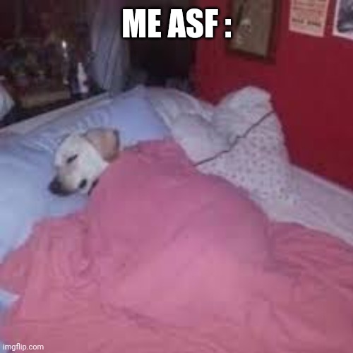 A mimir | ME ASF : | image tagged in a mimir | made w/ Imgflip meme maker