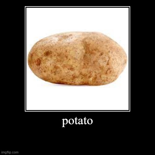 potato | potato | | image tagged in funny,demotivationals | made w/ Imgflip demotivational maker