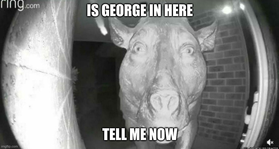 so peppa came | IS GEORGE IN HERE; TELL ME NOW | image tagged in peppa pig,cursed,bruh moment | made w/ Imgflip meme maker