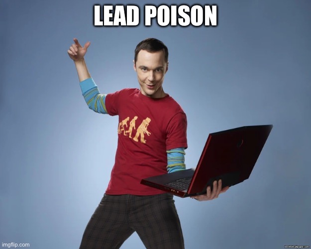 sheldon cooper laptop | LEAD POISON | image tagged in sheldon cooper laptop | made w/ Imgflip meme maker