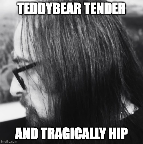 TEDDYBEAR TENDER; AND TRAGICALLY HIP | image tagged in rock | made w/ Imgflip meme maker