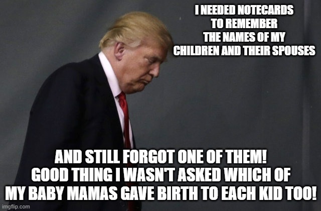 Sad Trump | I NEEDED NOTECARDS TO REMEMBER THE NAMES OF MY CHILDREN AND THEIR SPOUSES; AND STILL FORGOT ONE OF THEM! GOOD THING I WASN'T ASKED WHICH OF MY BABY MAMAS GAVE BIRTH TO EACH KID TOO! | image tagged in sad trump | made w/ Imgflip meme maker