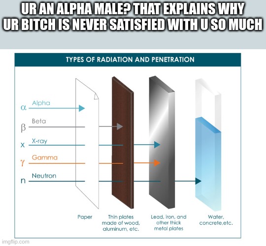 it explains so much more than u telling it to my face | UR AN ALPHA MALE? THAT EXPLAINS WHY UR BITCH IS NEVER SATISFIED WITH U SO MUCH | image tagged in you have been eternally cursed for reading the tags | made w/ Imgflip meme maker