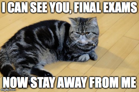 Stay away from me!!!!! | I CAN SEE YOU, FINAL EXAMS NOW STAY AWAY FROM ME | image tagged in cat | made w/ Imgflip meme maker