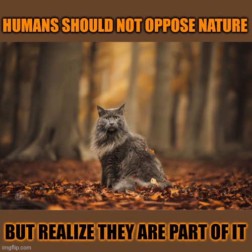 This #lolcat wonders why hoo-mans won't realize they are part of nature | HUMANS SHOULD NOT OPPOSE NATURE; BUT REALIZE THEY ARE PART OF IT | image tagged in nature,lolcat,climate change,stupid people | made w/ Imgflip meme maker