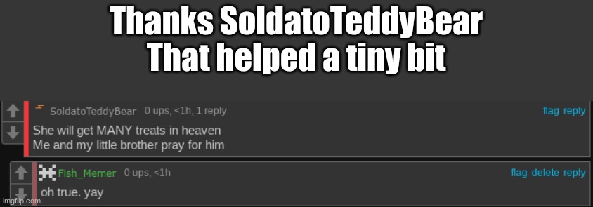 Thanks | Thanks SoldatoTeddyBear
That helped a tiny bit | image tagged in thanks | made w/ Imgflip meme maker