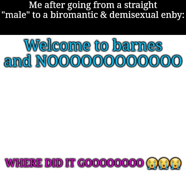 Me after going from a straight "male" to a biromantic & demisexual enby: | made w/ Imgflip meme maker